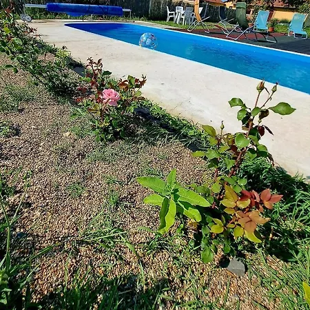 Csodaret Kuria Bed & Breakfast *