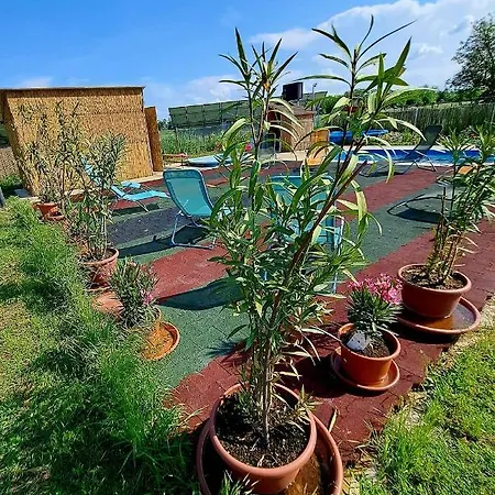 Bed & Breakfast Csodaret Kuria